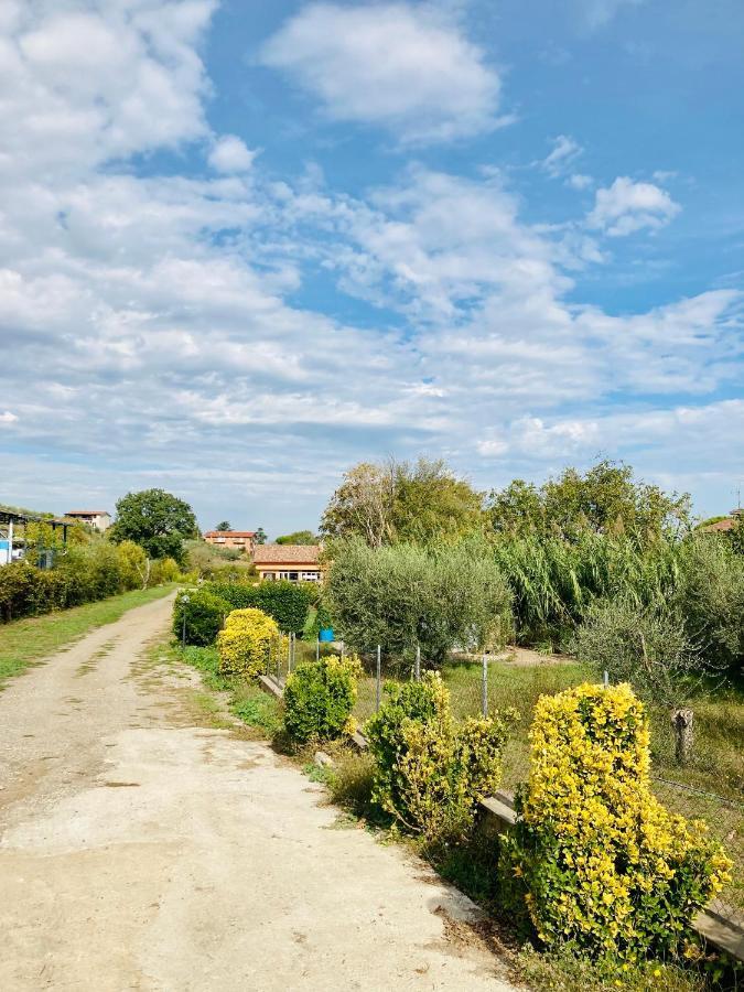 Villa Bubu, Appartamento Country-Chic Roma Dış mekan fotoğraf