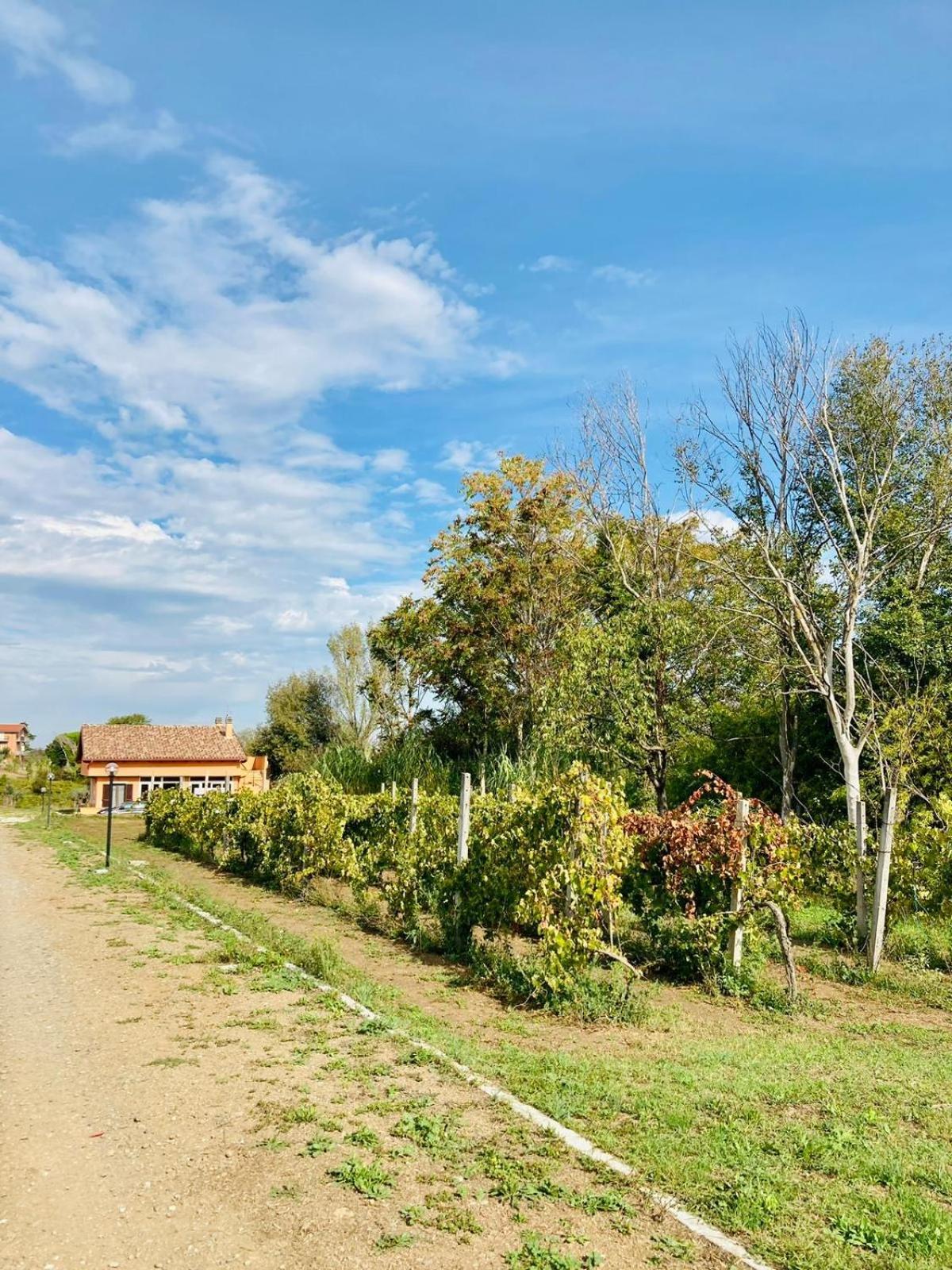 Villa Bubu, Appartamento Country-Chic Roma Dış mekan fotoğraf