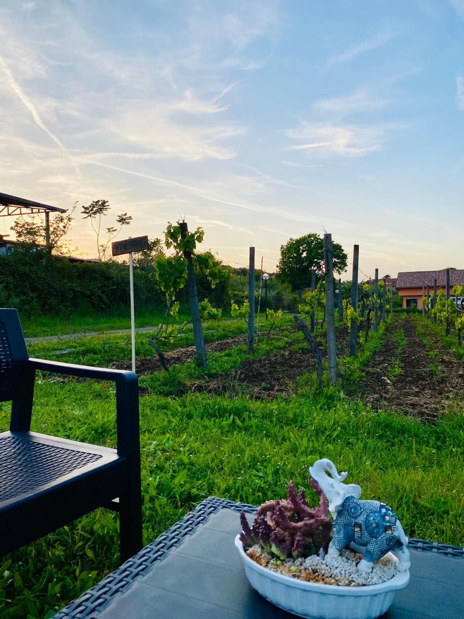Villa Bubu, Appartamento Country-Chic Roma Dış mekan fotoğraf
